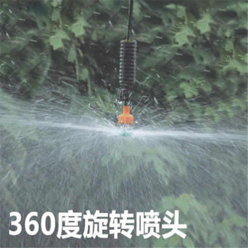 ����΢��