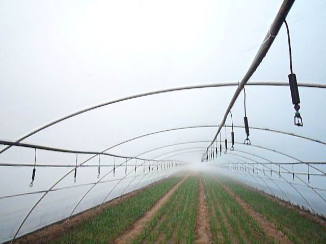 �������΢��