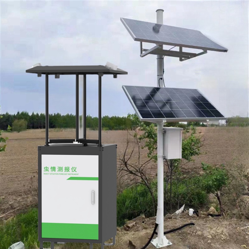 ����ⱨ��