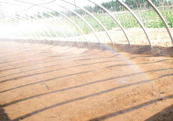 ����΢��