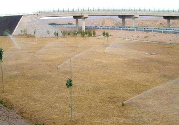 ����ʽ���