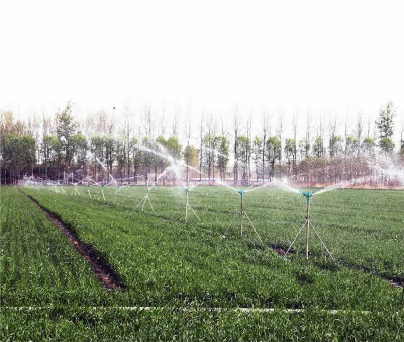 ����ҡ����ͷ