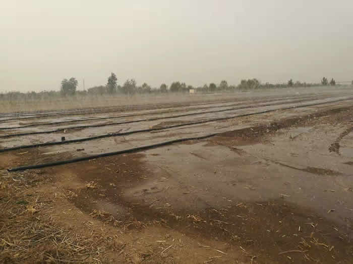 ΢���-��ˮЧ��