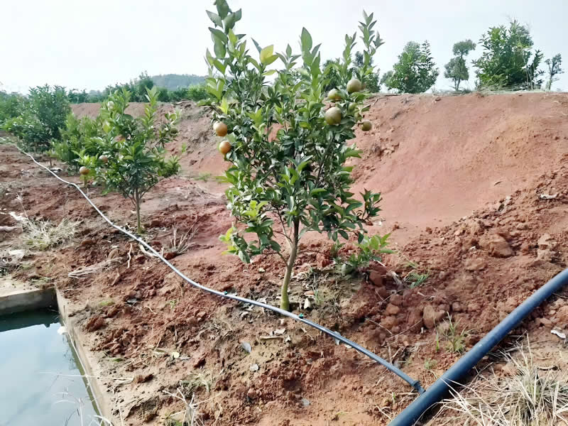 ���ٹ����ι�