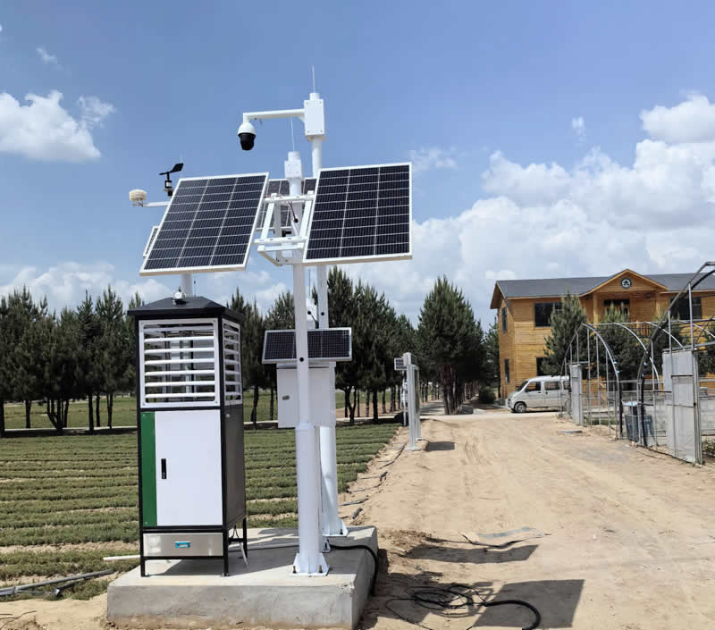 ���Ӳ�׽������